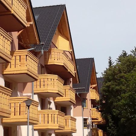 Apartament Podgorze 21 Διαμέρισμα Szklarska Poręba Εξωτερικό φωτογραφία